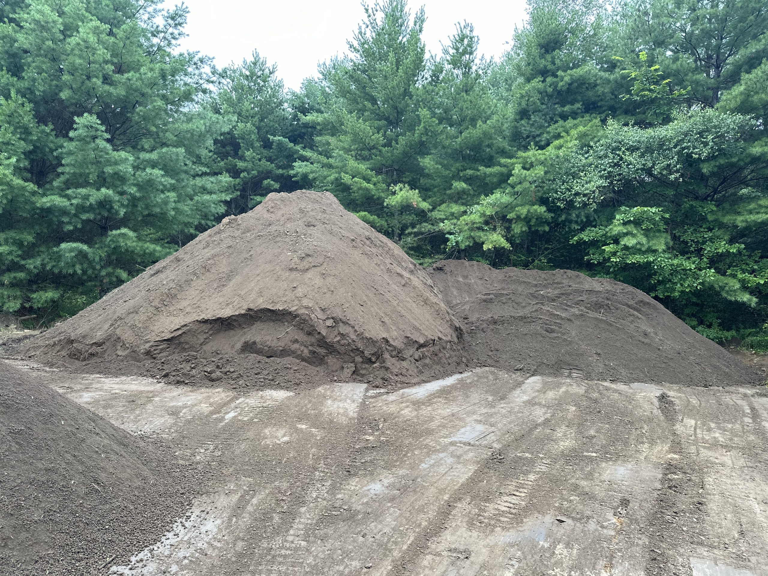 IMG_3239 Site Development