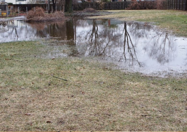 standing water in yard standing water in yard